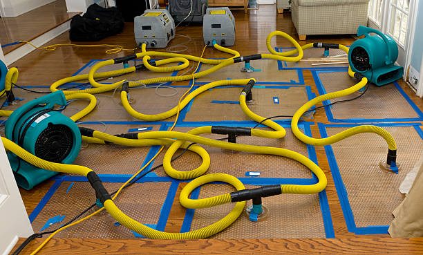 Professional Crawl Space Water Removal technician working in Villa Maria, PA